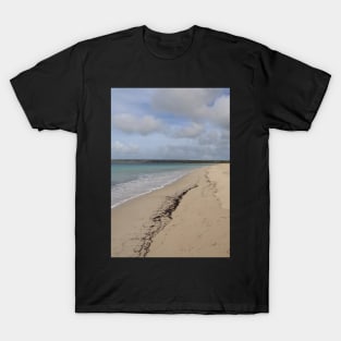 Antechamber Bay T-Shirt